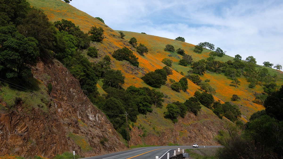 Amador County California