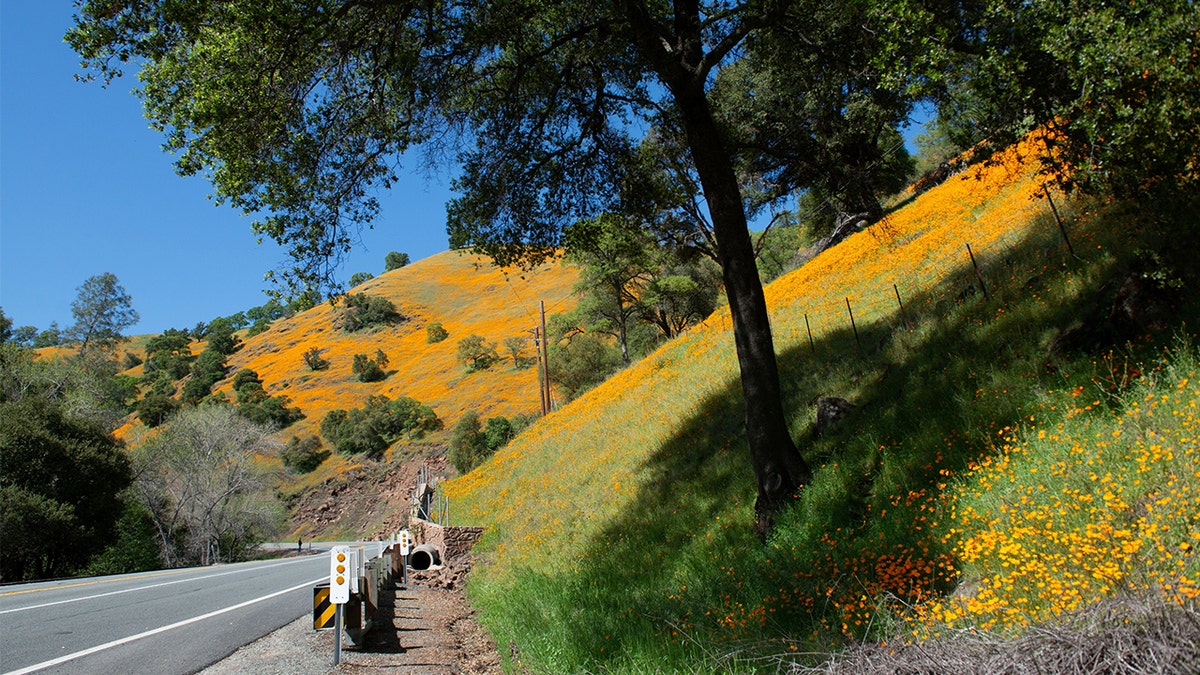 Amador County California