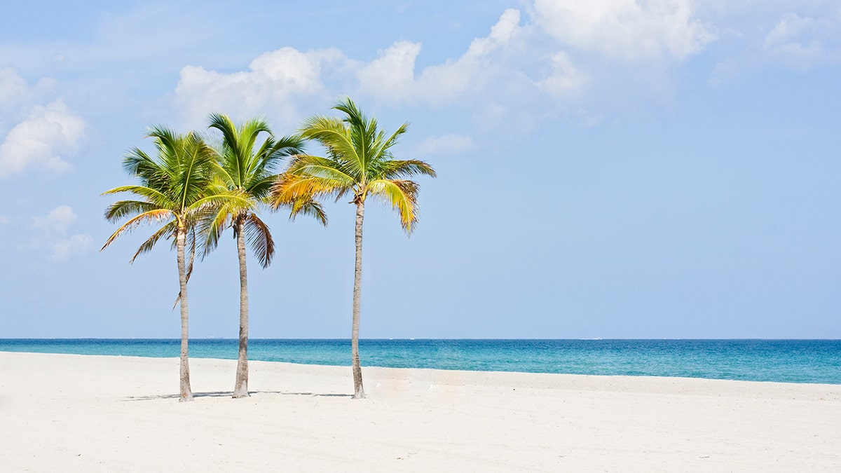 Miami Beach, Florida