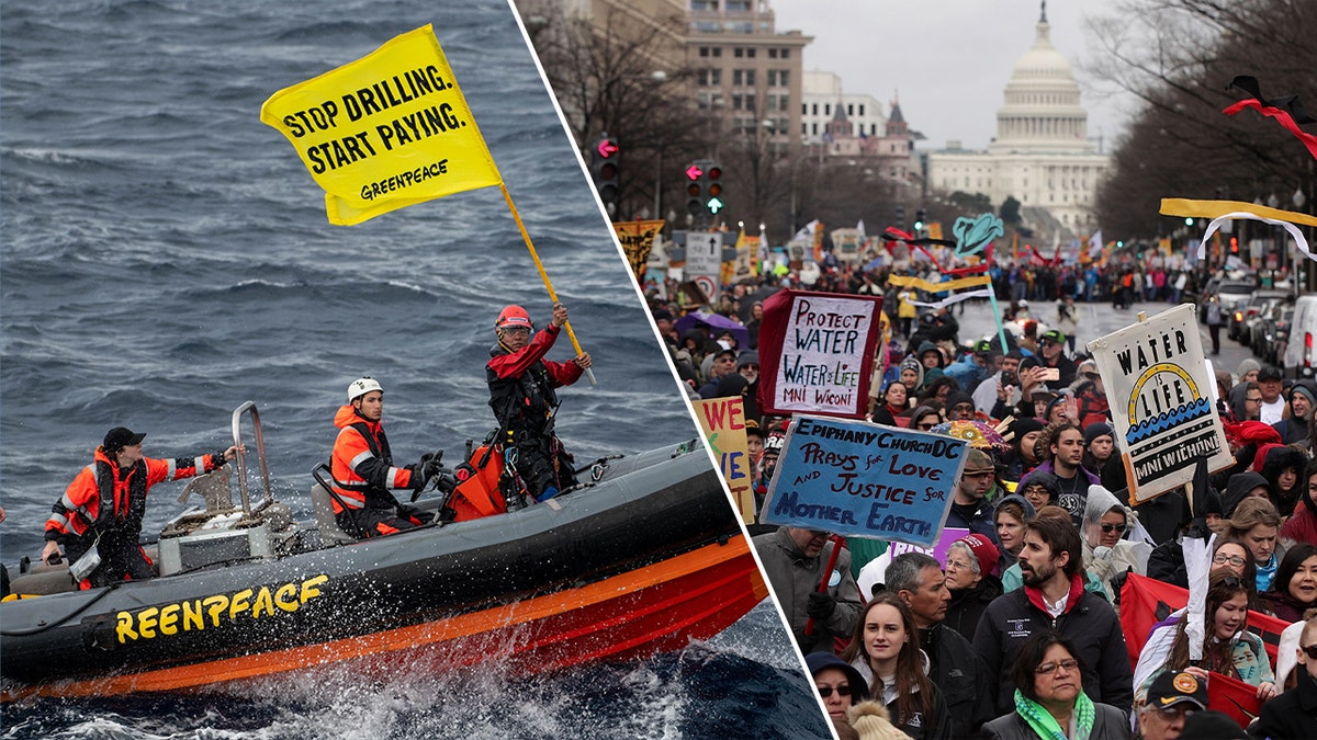 Greenpeace has been involved in several high-profile environmental cases over the years.