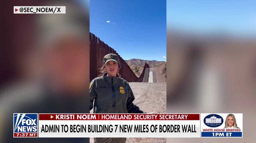 Border Patrol union praises Trump for resuming border wall construction: 'Amazing' what his policies have done