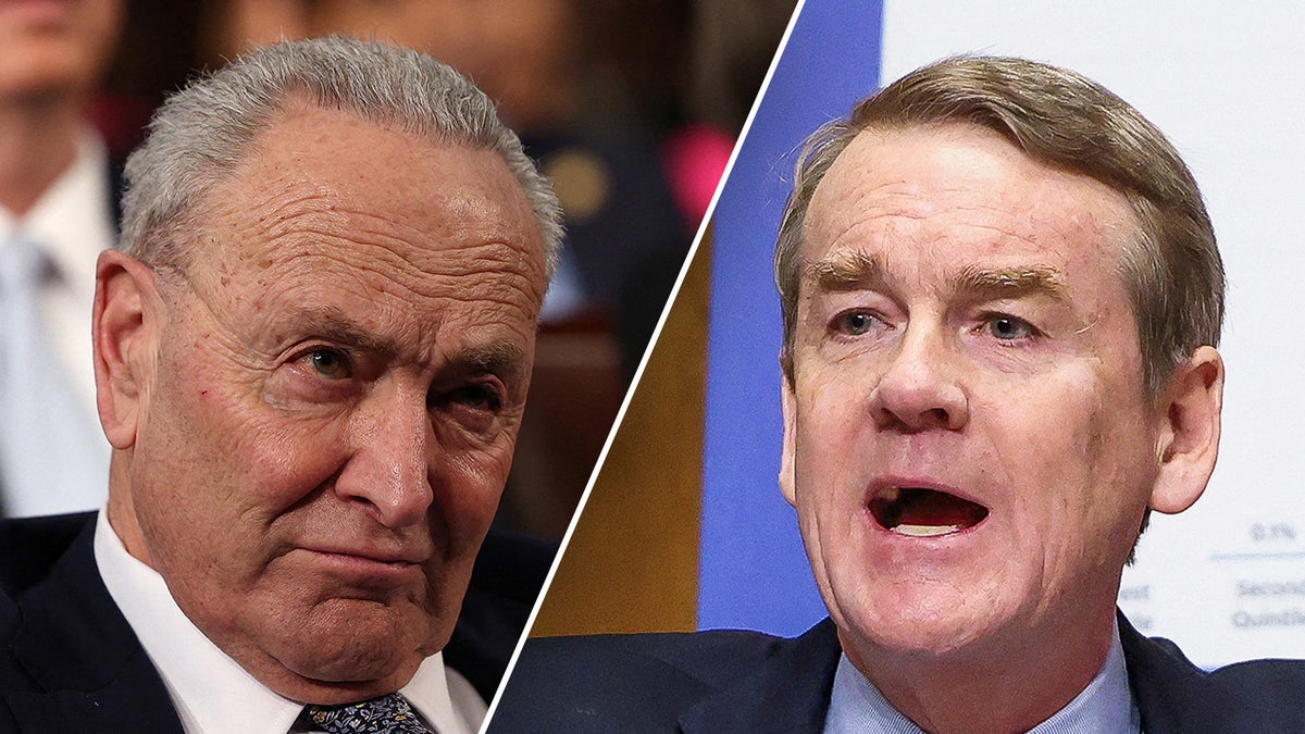 Chuck Schumer, Michael Bennet split