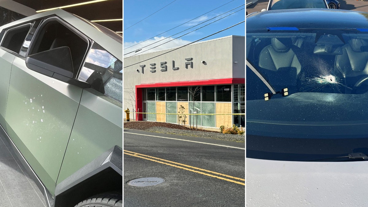 Damage to Tesla vehicles, dealership in Oregon
