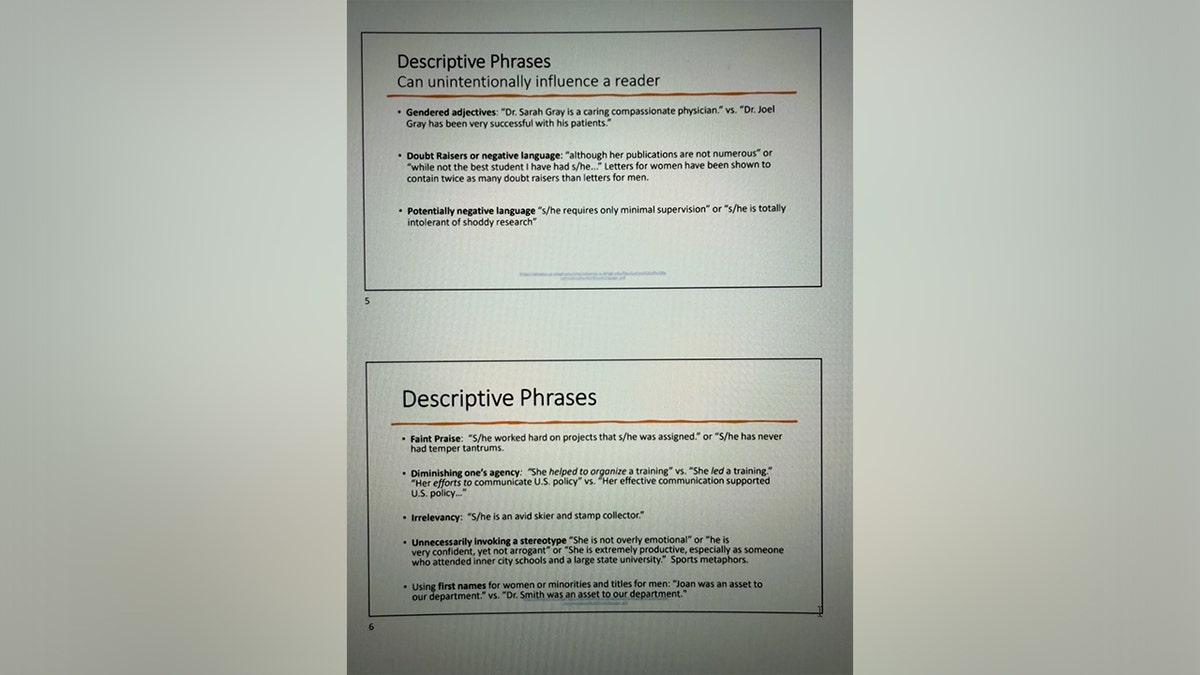 state-department-dei-slides