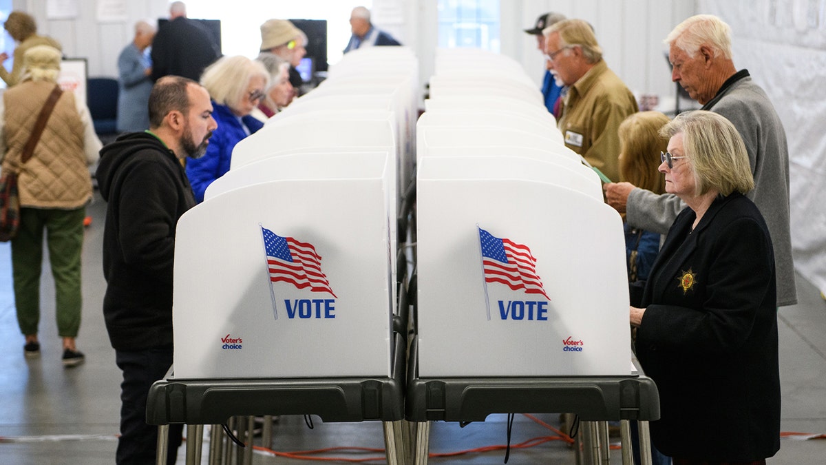 Voters at voting carrels