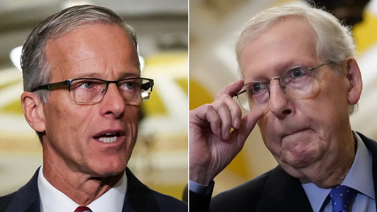 Thune, McConnell in photo split