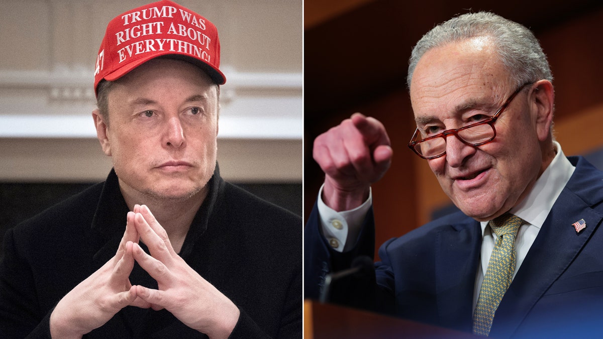 Left: Elon Musk; Right: Chuck Schumer