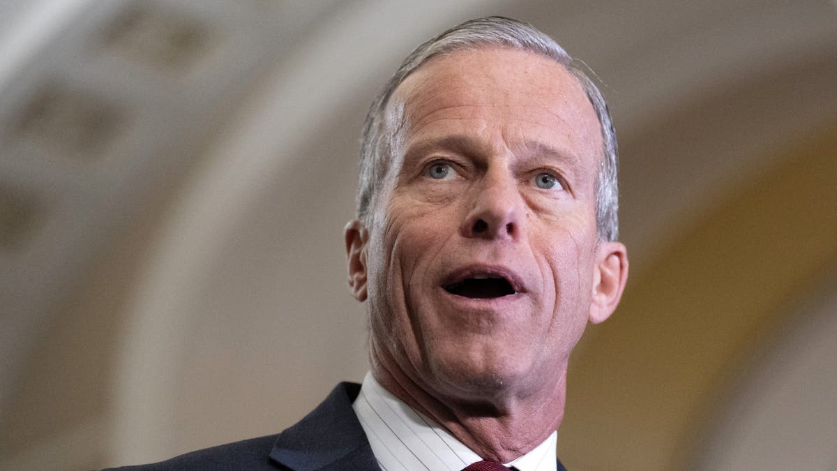 John Thune