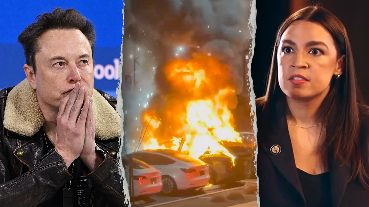 Musk and AOC