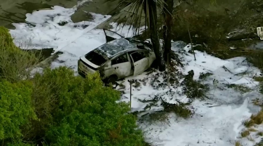 Florida small plane crash site seen from the air