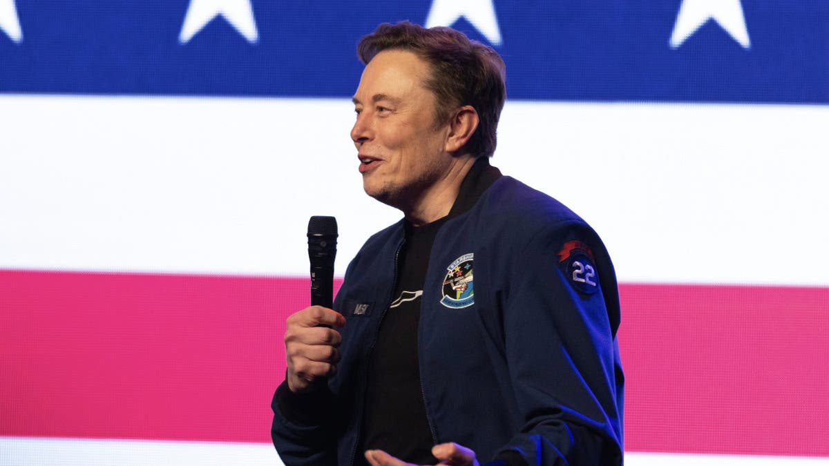 Elon Musk speaks during a town hall on Sunday, March 30, 2025 in Green Bay, Wisconsin.