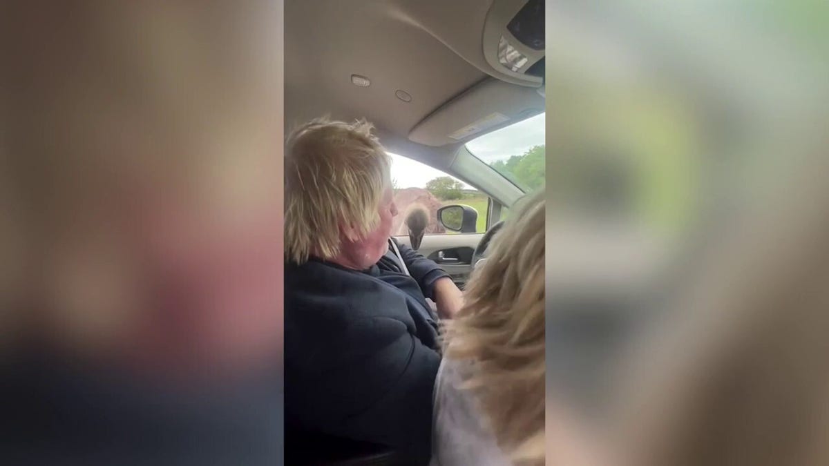 Former British Prime Minister Boris Johnson was attacked by an ostrich while vacationing with his family.