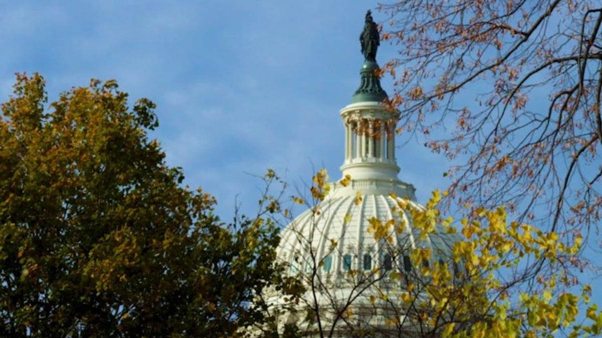 The dome of the U.S. Capitol building is seen from a perch in Washington, D.C. (Photo by Emma Woodhead, Fox News Digital)