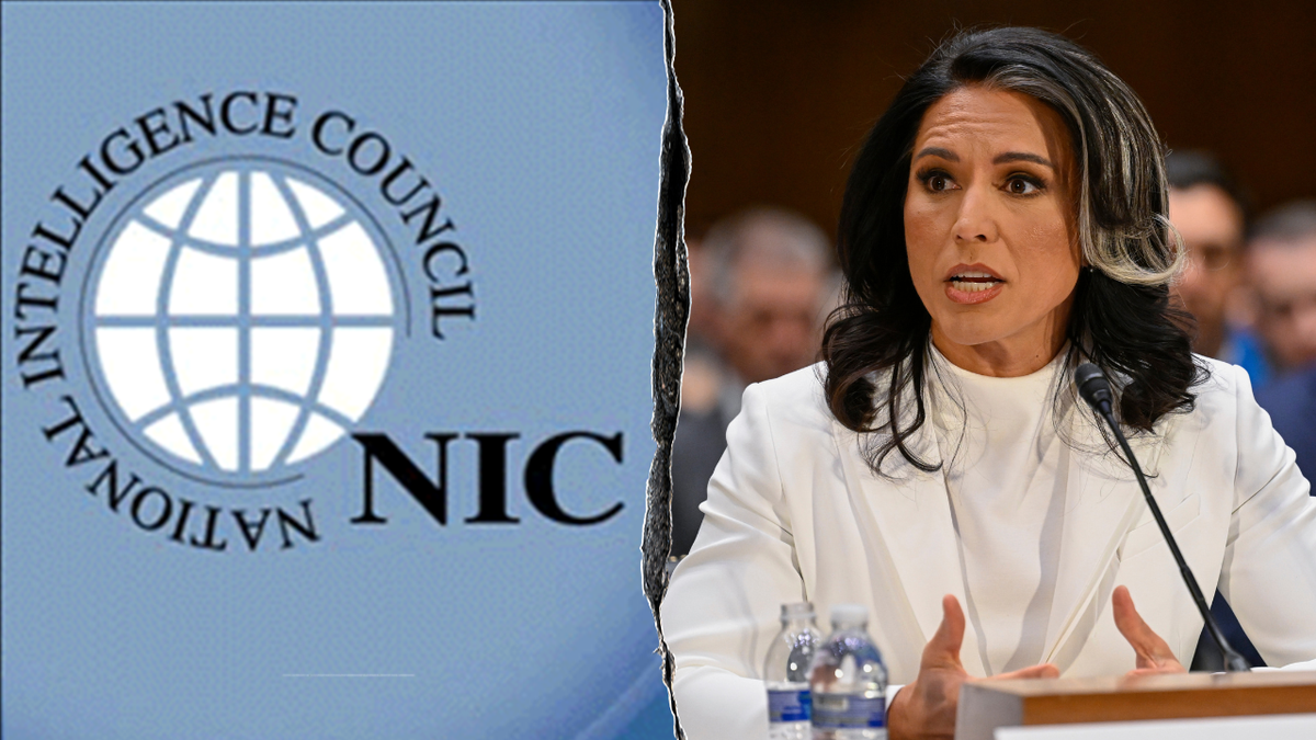 National Intelligence Center logo and Tulsi Gabbard wearing a white blazer split image