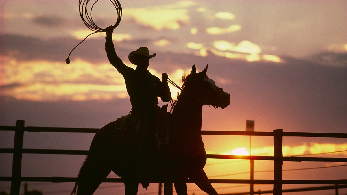 cowboy at sunset