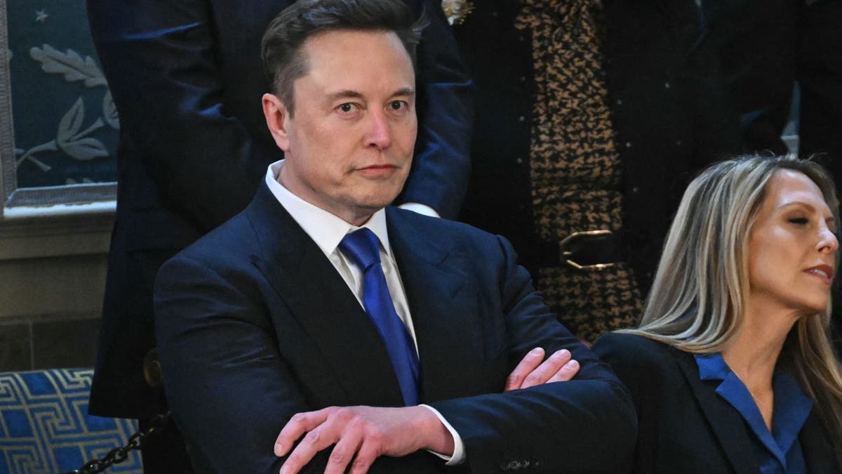 Elon Musk Congress