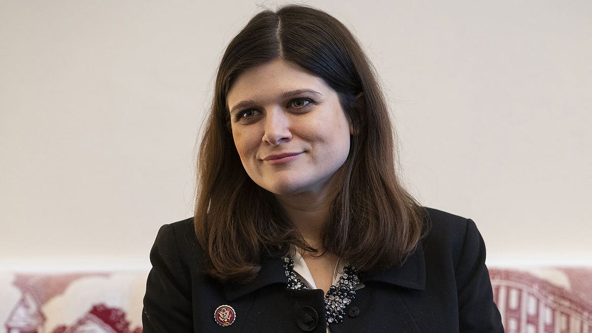 Democratic Representative Haley Stevens Interview