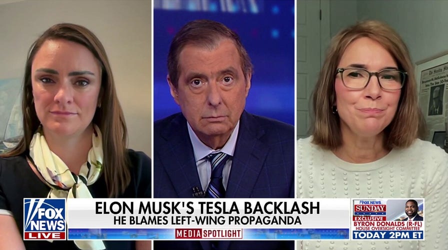 Elon Musk blames left-wing propaganda for Tesla backlash