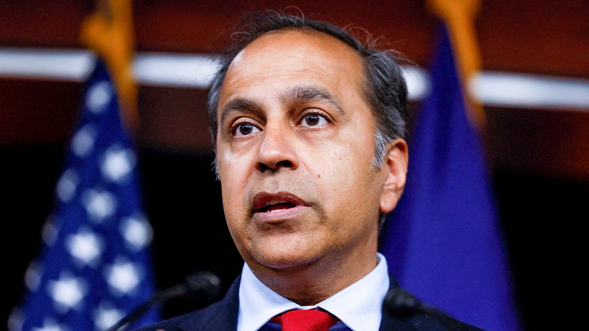 Rep. Raja Krishnamoorthi 