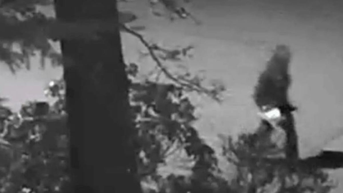 Security video captured the suspected gunman wearing all dark clothing. 