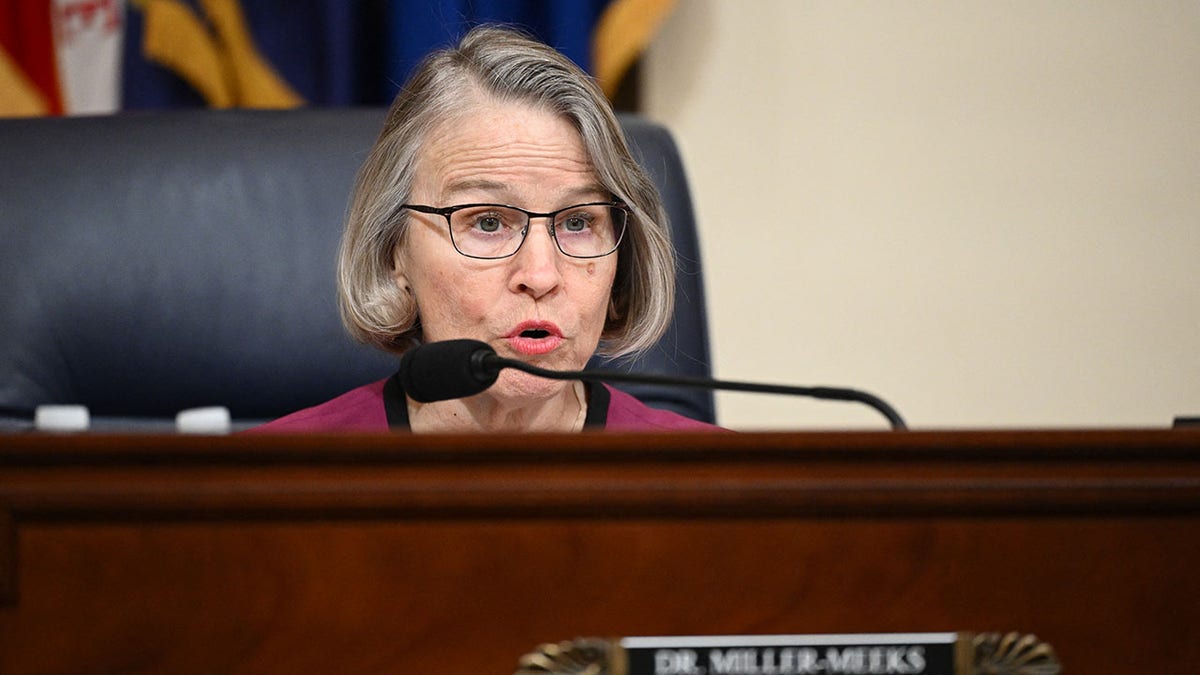 Miller-Meeks speaks into a microphone at Capitol hearing