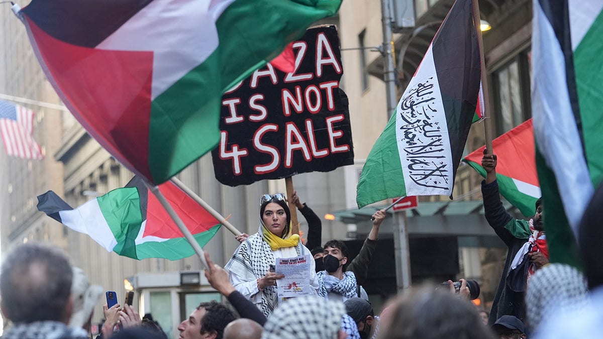 Nerdeen Kiswani protesting with Palestine flag