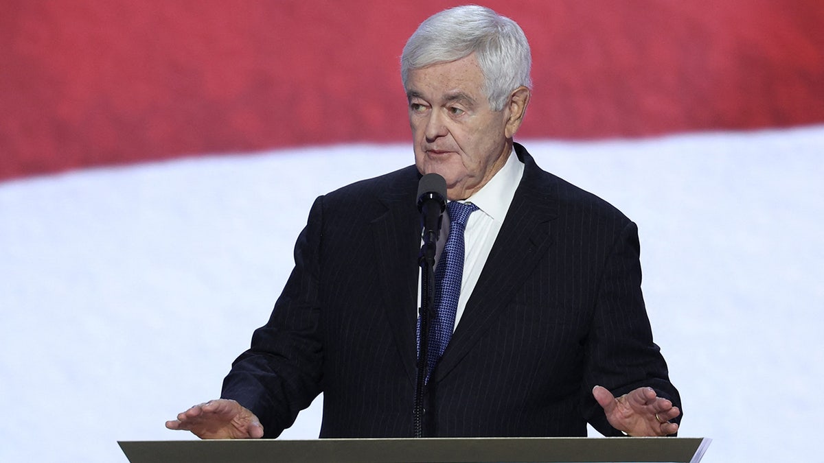 Newt Gingrich speaks on Day 3 of the Republican National Convention