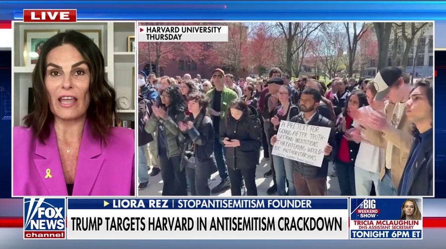 Harvard University has become the nation's 'antisemitic cesspool epicenter,' StopAntisemitism founder decries