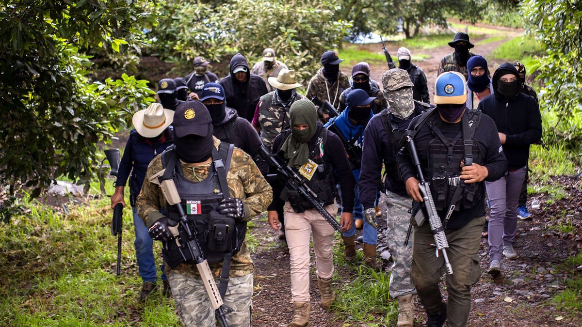 Anti-cartel group