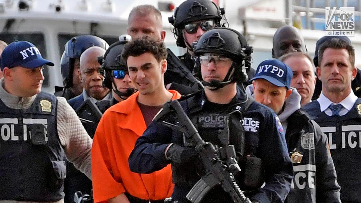 Luigi Mangione is escorted by NYPD into a van after being extradited from Pennsylvania for the murder of United Healthcare CEO, Brian Thompson.