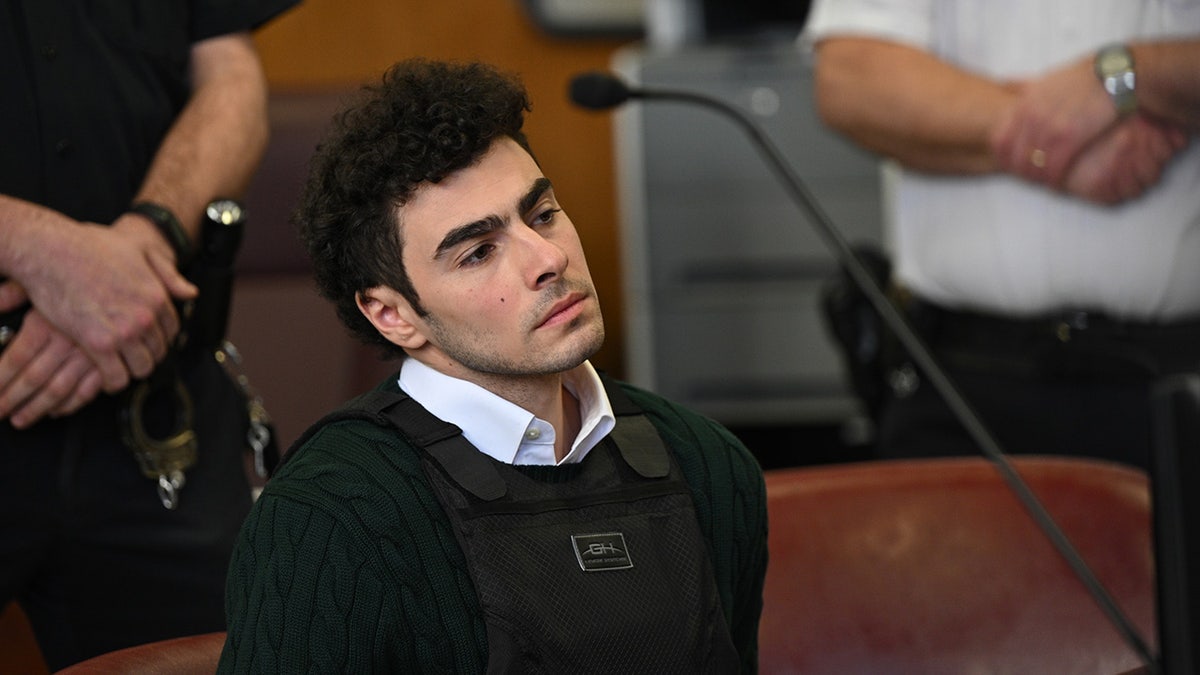 Luigi Mangione appears in court