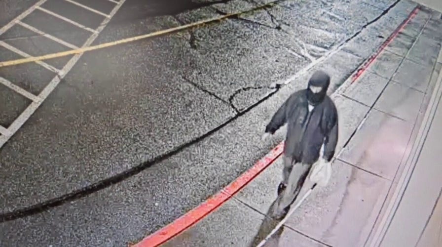 Police searching for man accused of Tesla attack in Washington