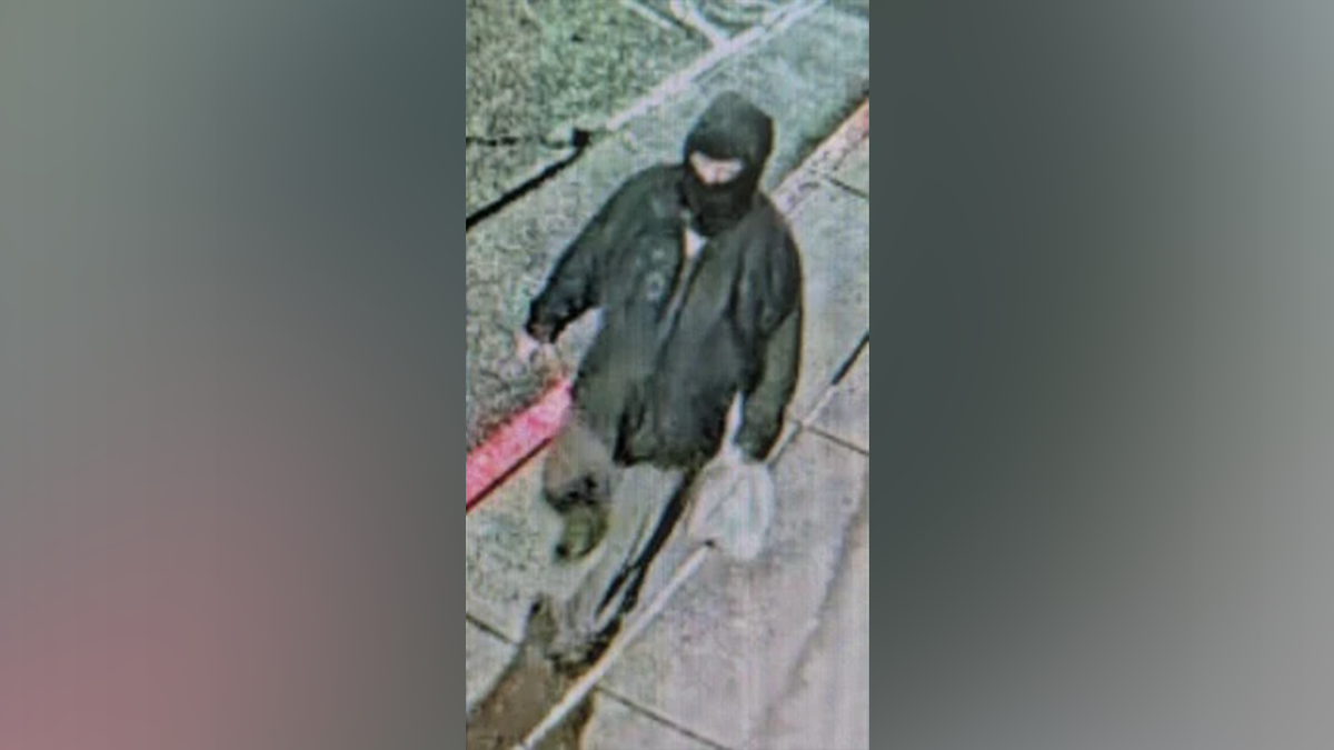 FBI photo of suspect