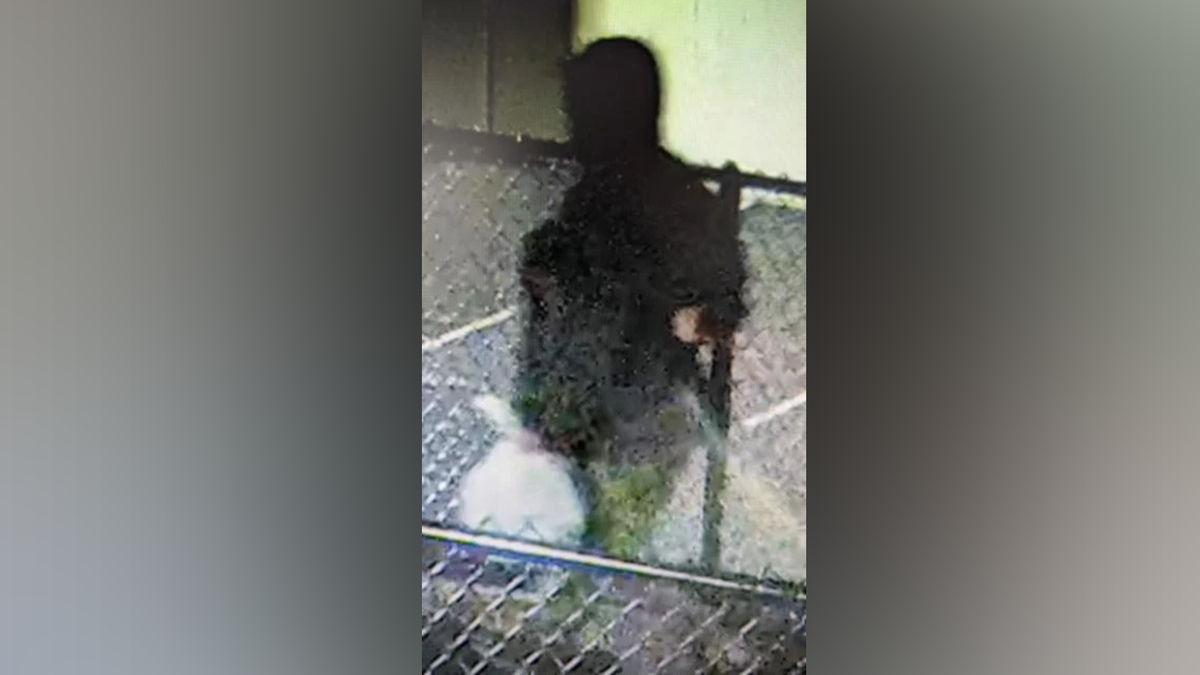 FBI photo of suspect