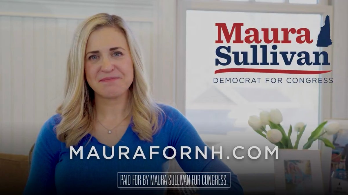 still shot from Sullivan campaign ad