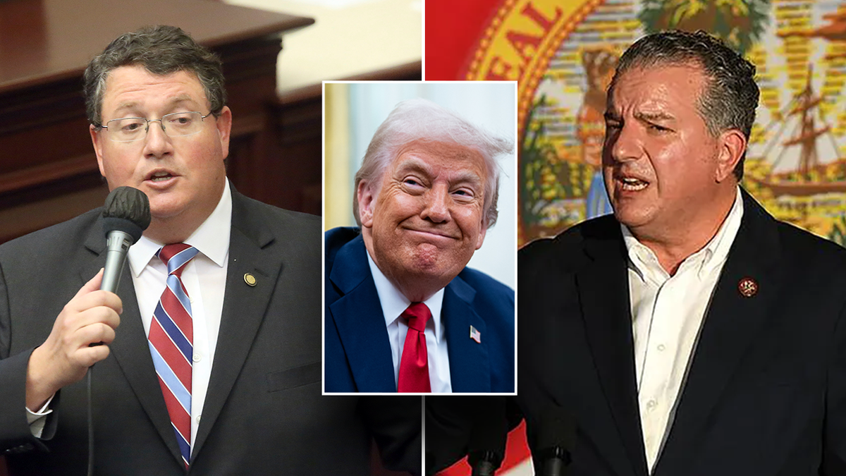 Randy Fine, Jimmy Patronis, Donald Trump