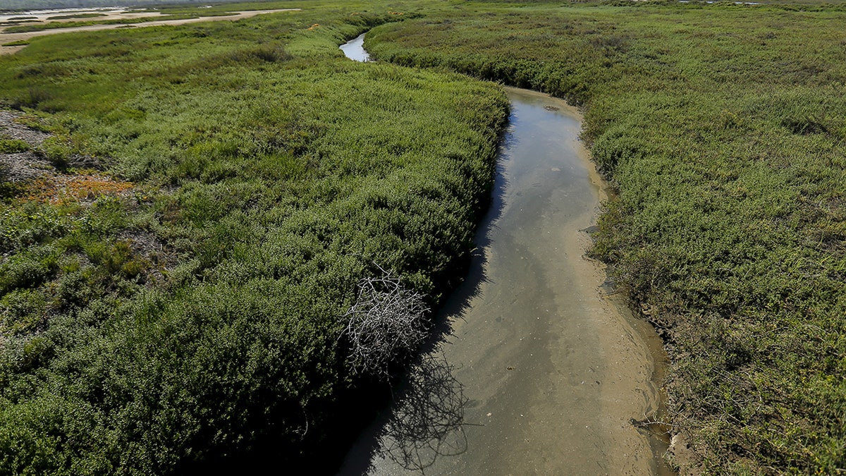 Tijuana River