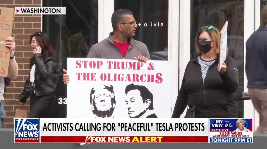 ‘Global Day of Action’ sees protesters rally against Tesla, Elon Musk