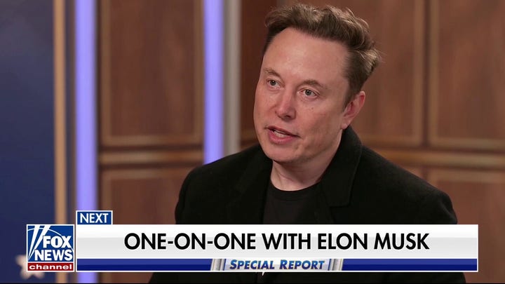 'TAKING A SERIOUS LOOK AT THE FRAUD': Elon Musk and the DOGE team lay out their plans