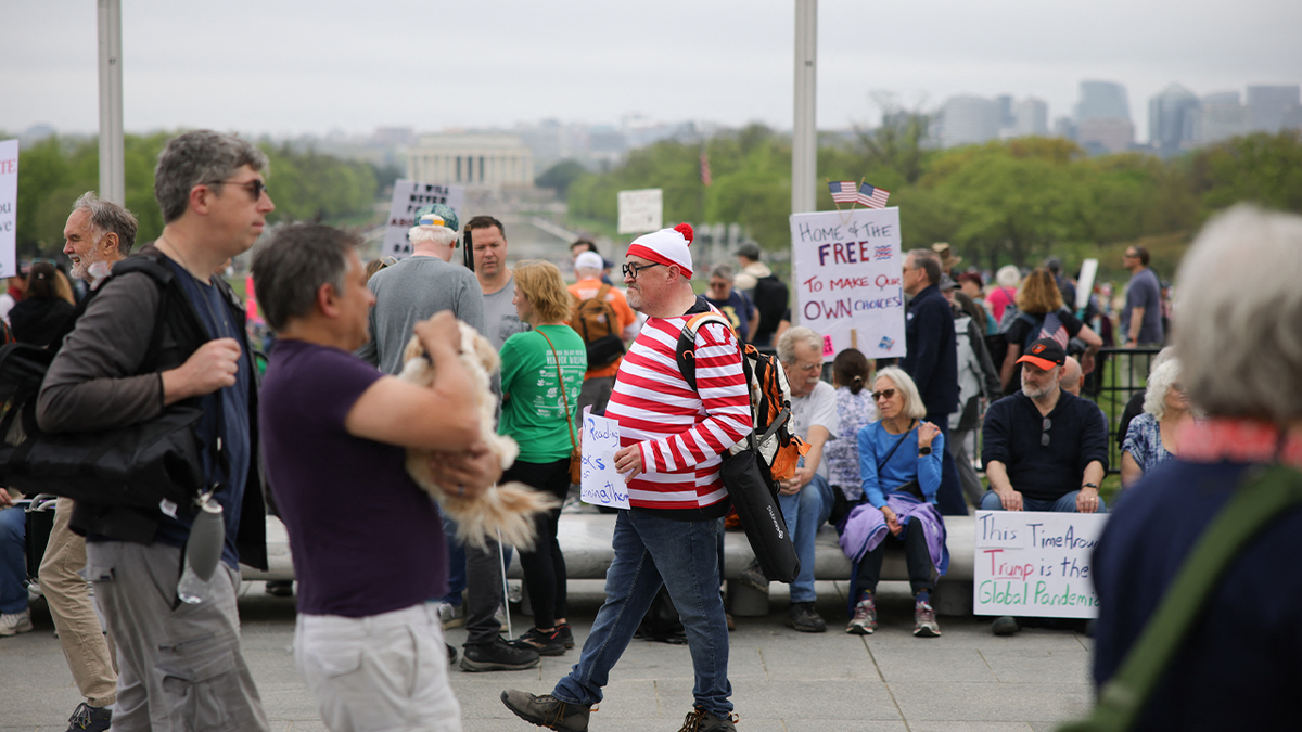 Waldo at Anti-Trump protest