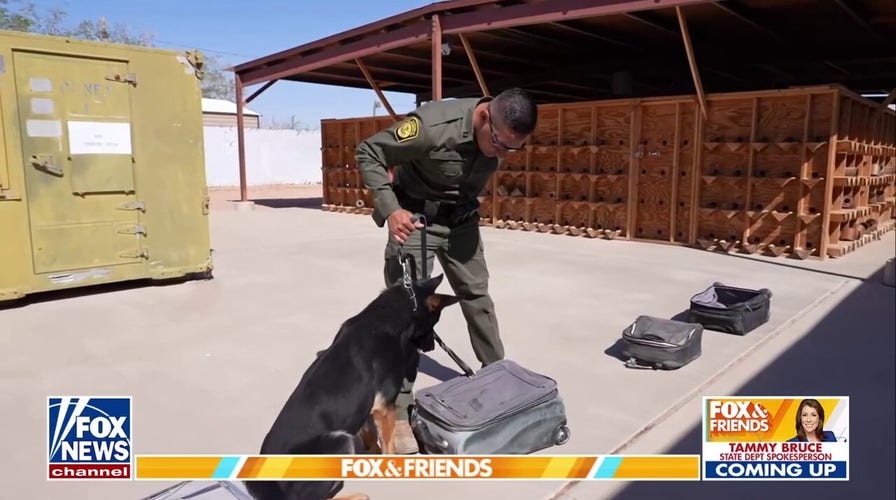 Protecting the border with the CBP K-9 unit