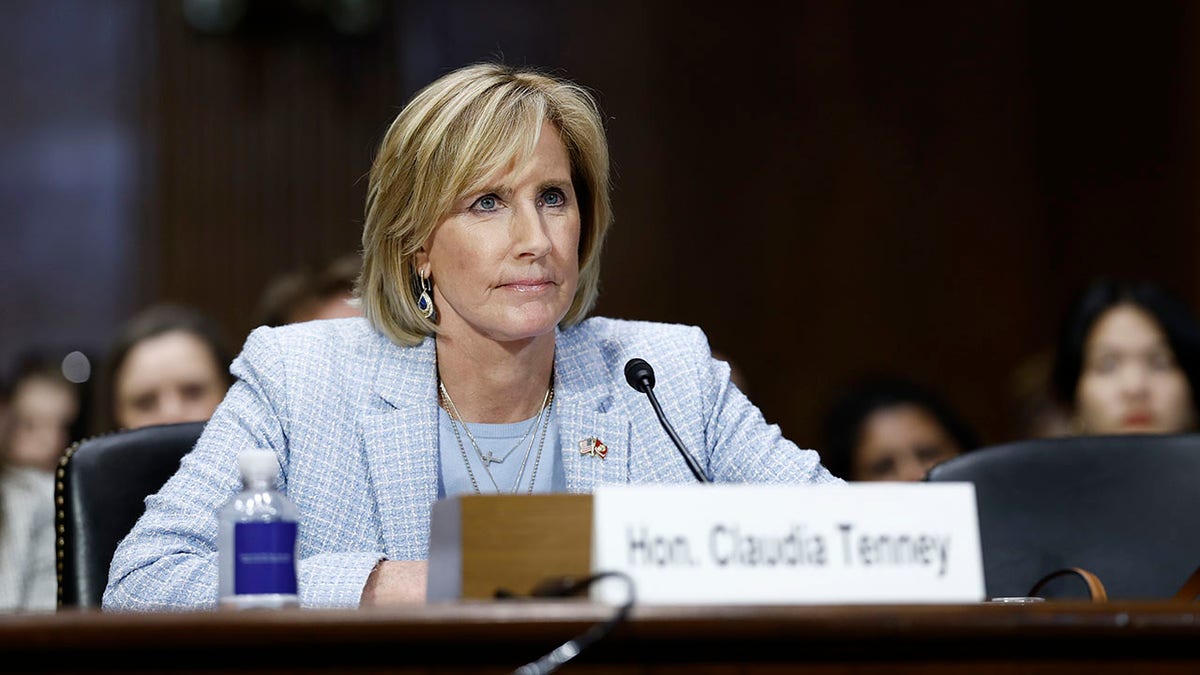 Tenney during Senate Judiciary subcommittee hearing