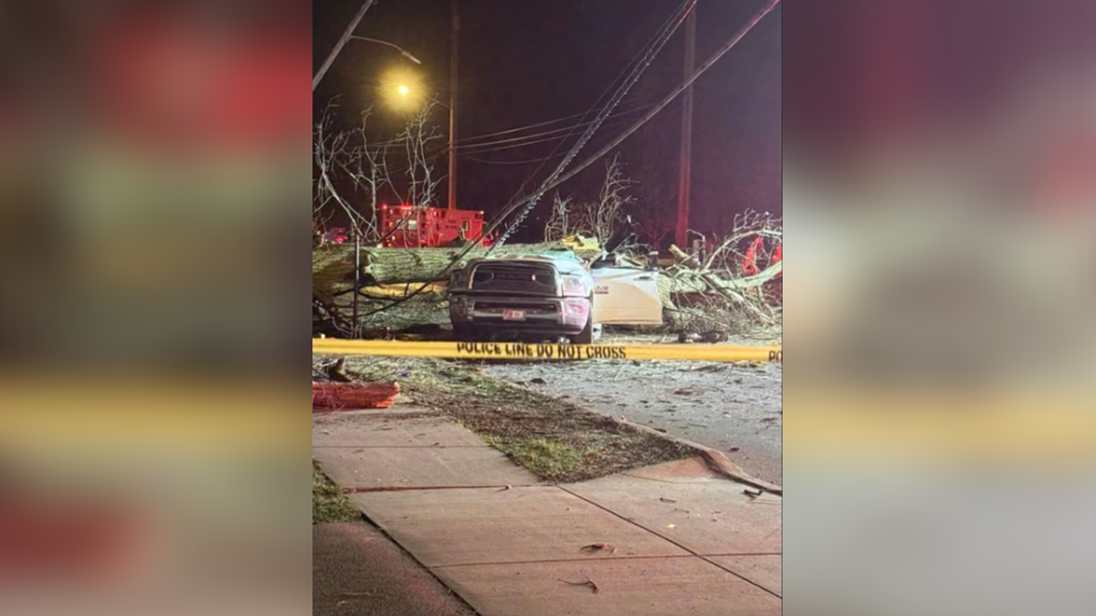 Fatal Toledo crash