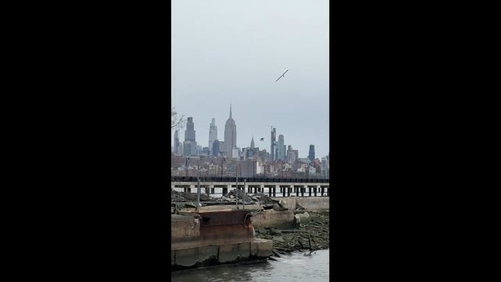 Rotor blade from Hudson River helicopter crash seen falling from sky