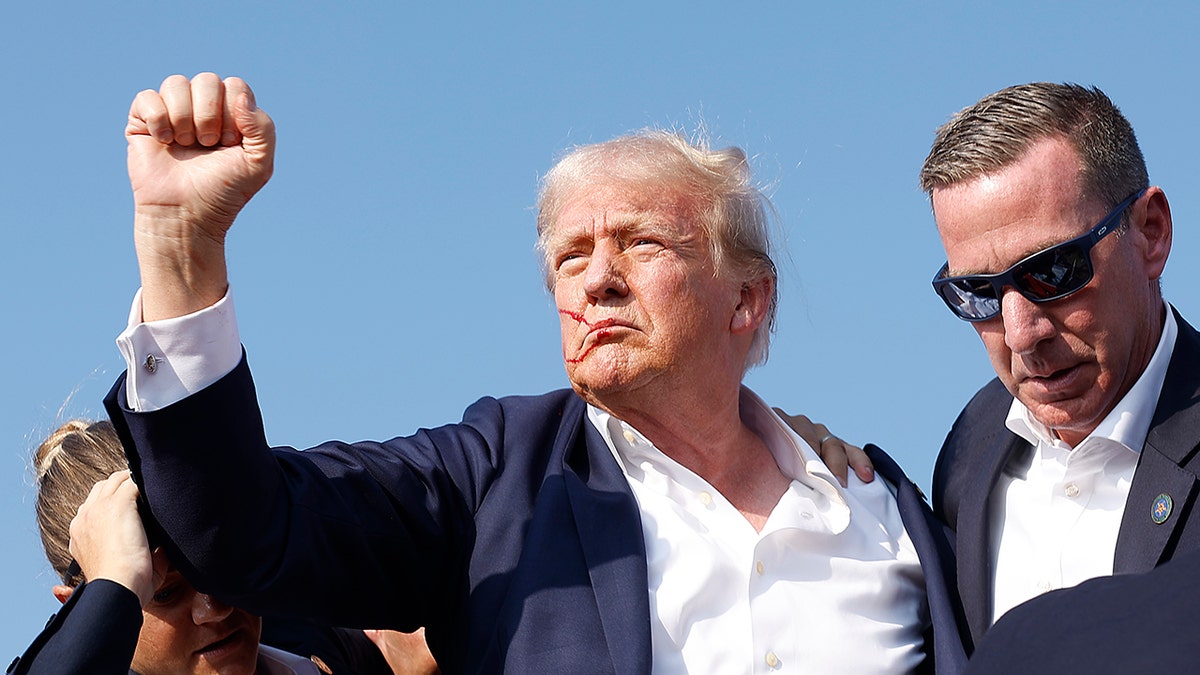 Donald Trump with bloods on his face, holds fist in the air