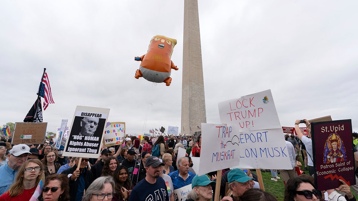 Trump Protests