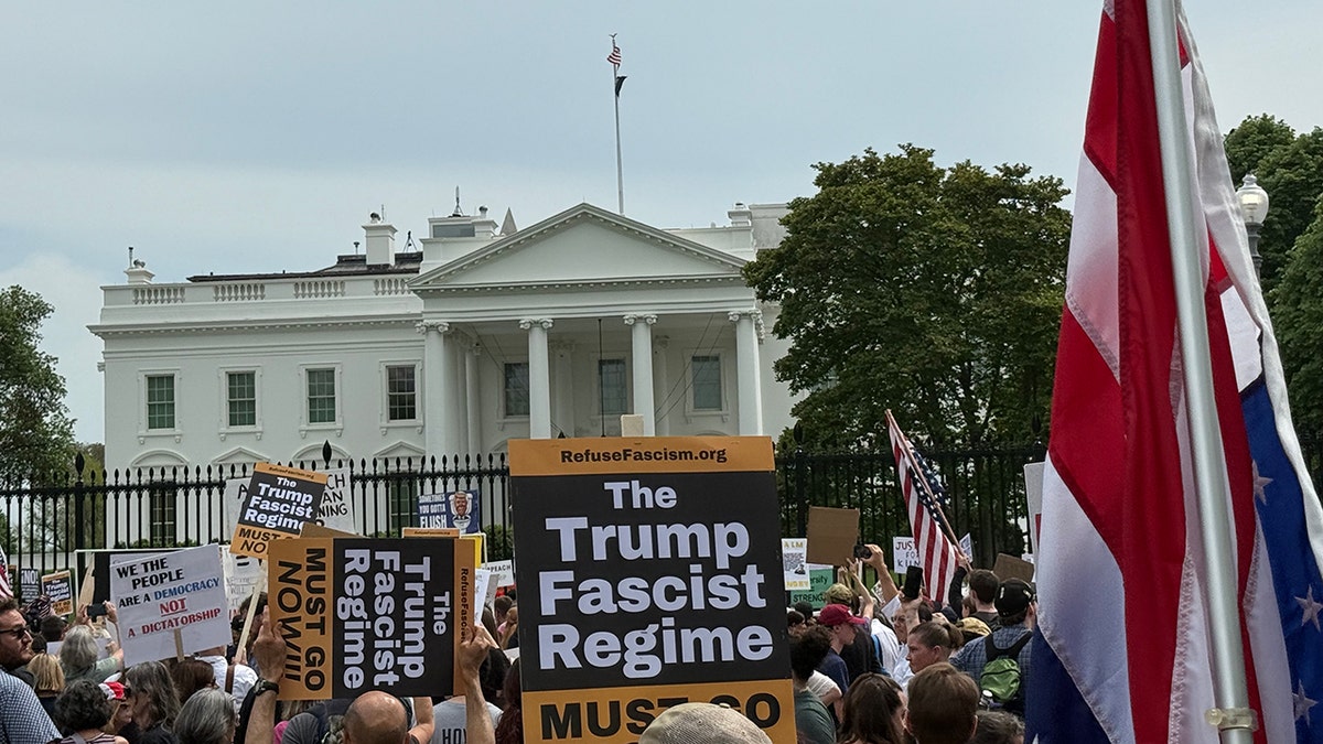 Demonstration in front of the White House