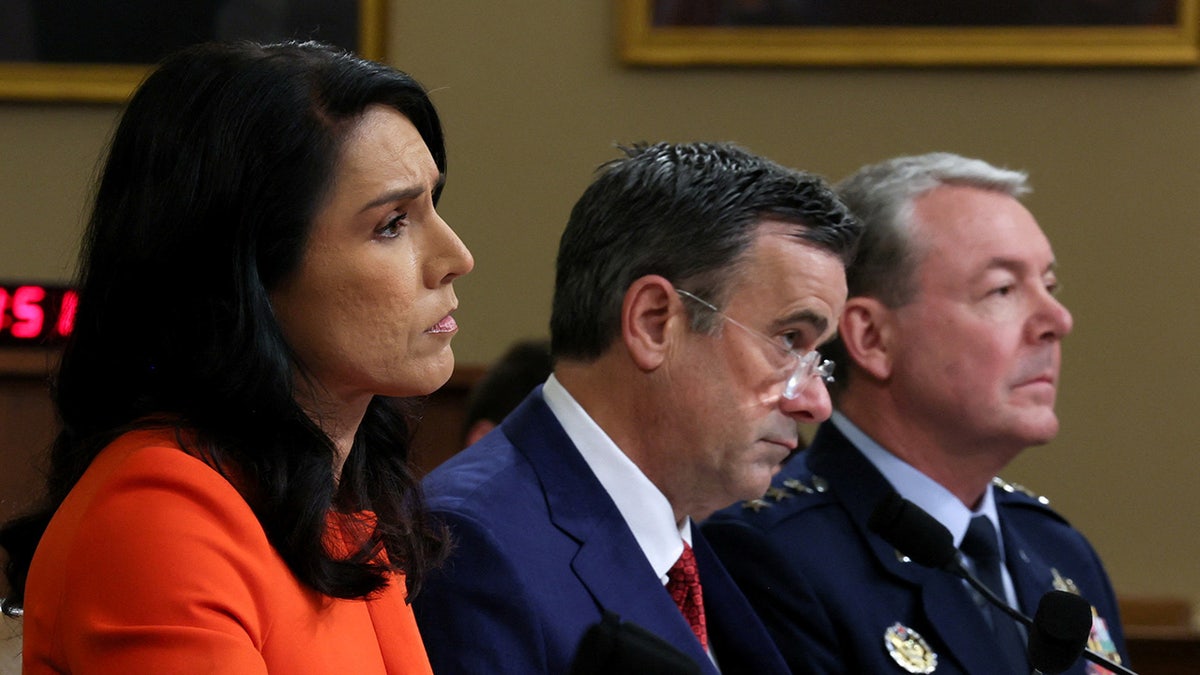 CIA Director at house hearing