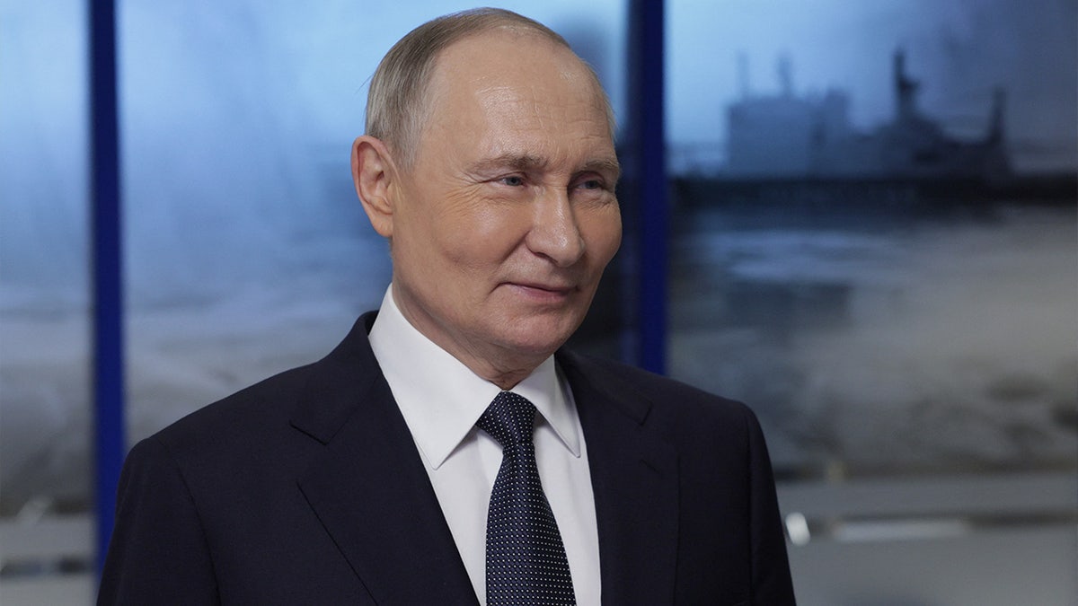 Putin artic