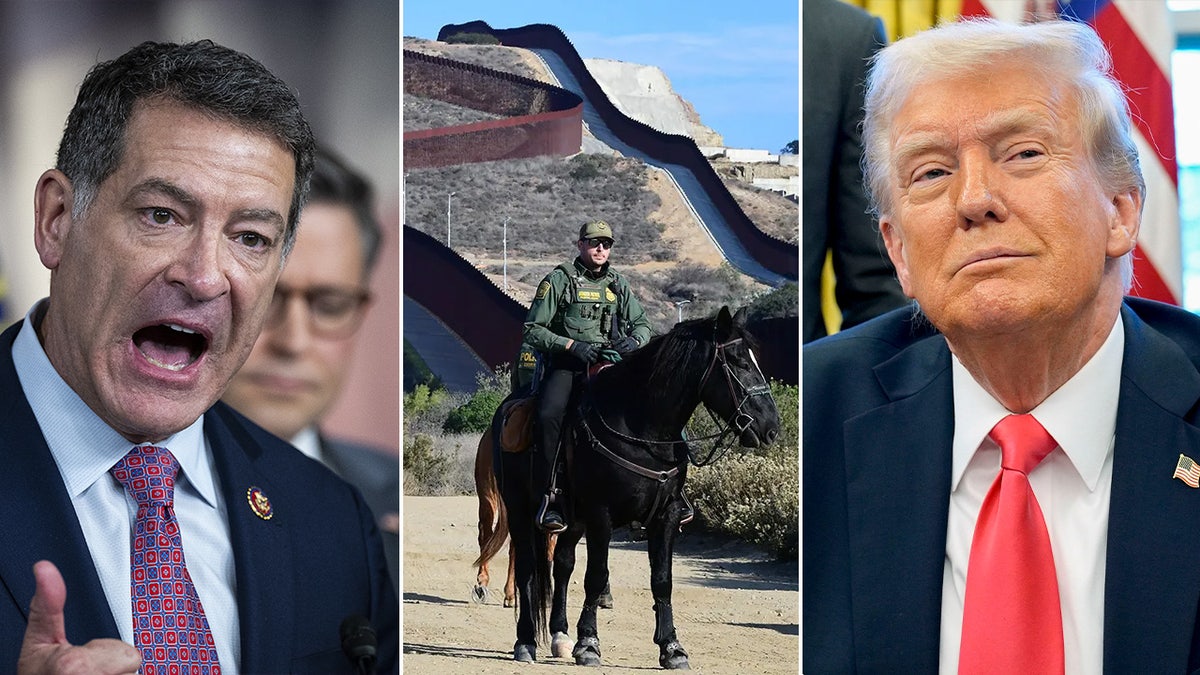 Mark Green, Donald Trump, border